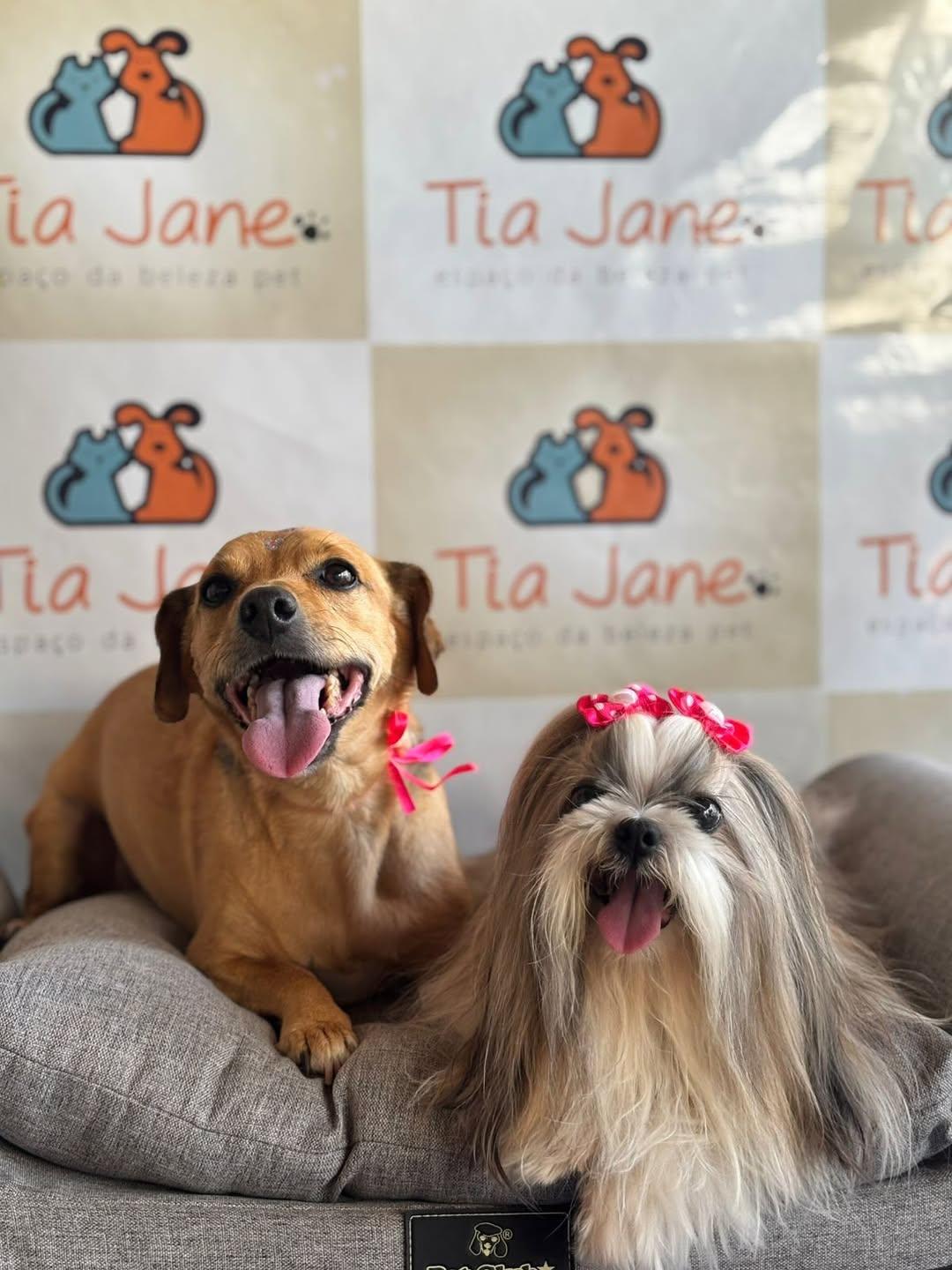 Pet atendido pela Tia Jane (foto 10)