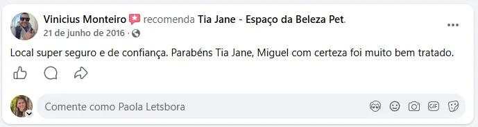 Vinicius Monteiro (jun/2016) recomenda a Tia Jane no Facebook: “Local super seguro e de confiança. Parabéns, Tia Jane — o Miguel com certeza foi muito bem tratado.”