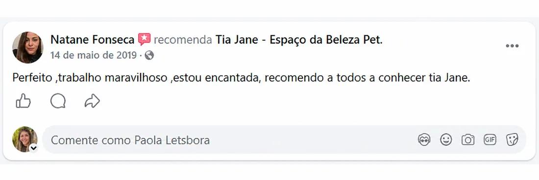 Natane Fonseca (mai/2019) recomenda a Tia Jane no Facebook: “Perfeito, trabalho maravilhoso, estou encantada. Recomendo a todos conhecerem a Tia Jane.”